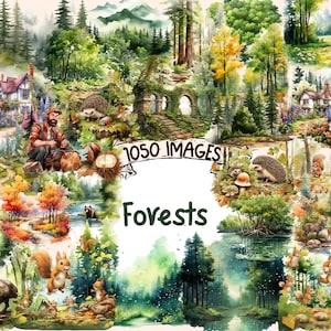 Forests Watercolor Clipart Bundle - 1050 PNG Woodland Landscape Images, Nature Scenes Graphics, Instant Digital Download, Commercial Use