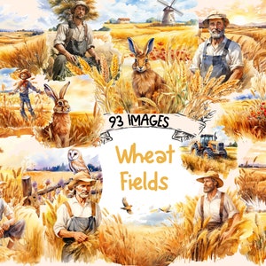 Wheat Fields Watercolor Clipart Bundle - 93 PNG Rural Landscape Images, Golden Grain Field Graphics, Instant Digital Download,Commercial Use