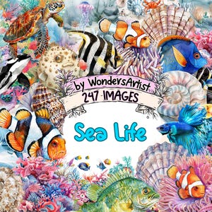 Sea Life Watercolor Clipart Bundle - 247 PNG Marine Creature Images, Cute Ocean Wildlife Graphics, Instant Digital Download, Commercial Use
