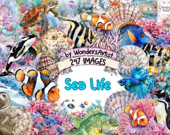 Sea Life Watercolor Clipart Bundle: 247 Marine Creature PNG Images (Digital Download)