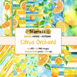 Zitrus Obstgarten Musterdesign Digitale Papiere - saftige Frucht Texturen, frische druckbare Papier Hintergründe, sofortiger Download, kommerzielle Nutzung