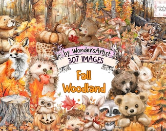 Op de afbeelding: Een digitale illustratie van een herfstbos scène met verschillende dieren, waaronder een vos, een egel, een uil, een beer, een wasbeer, een konijn, een hert en een eekhoorn. De dieren zijn omringd door herfstbladeren, pompoenen en paddenstoelen. De tekst "By WondersArtist 307 Images Fall Woodland" staat in het midden van de afbeelding.