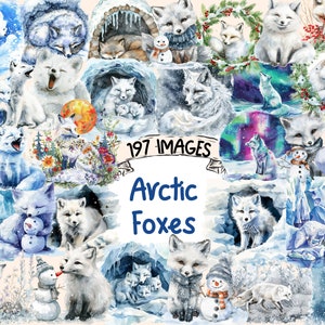 Arctic Foxes Watercolor Clipart Bundle - 197 PNG White Snowy Fox Images, Polar Snow Fox Graphics, Instant Digital Download, Commercial Use