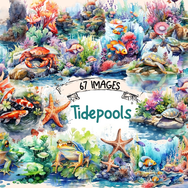 Tidepools Watercolor Clipart Bundle - 67 PNG Nautical Images, Coastal Graphics, Seashore Printables, Instant Digital Download,Commercial Use