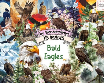 Watercolor Bald Eagle Clipart Bundle: 115 PNG Wildlife Illustrations (Commercial Use) (Instant Download)