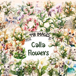 Calla Flowers Watercolor Clipart Bundle - 448 PNG Calla Lily Images, Beautiful Floral Graphics,  Instant Digital Download, Commercial Use