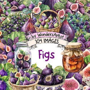 Figs Watercolor Clipart Bundle - 104 PNG Fresh Fig Images, Vibrant Tasty Sweet Fruit Graphics, Instant Digital Download, Commercial Use
