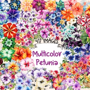 Multicolor Petunia Watercolor Clipart Bundle - 417 PNG Petunias Images, Vibrant Floral Graphics, Instant Digital Download, Commercial Use