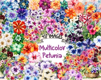 Multicolor Petunia Watercolor Clipart Bundle: 417 PNG Floral Images (Digital Download)