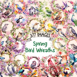 Spring Bird Wreaths Watercolor Clipart Bundle - 317 PNG Birds Wreath Images, Floral Ring Graphics, Instant Digital Download, Commercial Use