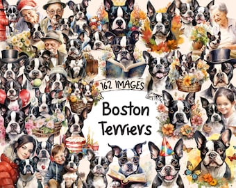 Watercolor Boston Terrier Clipart Bundle – 162 PNG Dog Graphics (Digital Download)
