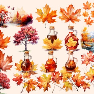 May include: Watercolour painting of autumn leaves, maple syrup bottles, and trees. The leaves are in shades of red, orange, and yellow. The bottles are filled with a dark brown liquid. The trees are bare and have a brown trunk.