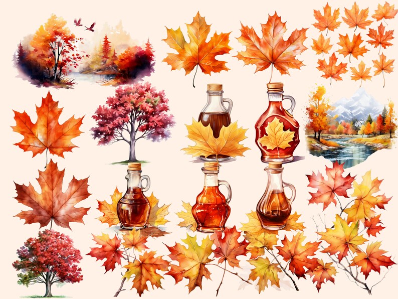 May include: Watercolour painting of autumn leaves, maple syrup bottles, and trees. The leaves are in shades of red, orange, and yellow. The bottles are filled with a dark brown liquid. The trees are bare and have a brown trunk.