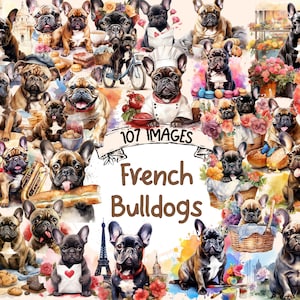 French Bulldogs Watercolor Clipart Bundle - 107 PNG French Puppy Images, Adorable Dog Graphics, Instant Digital Download, Commercial Use