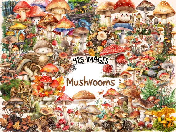 Watercolor Mushroom Clipart Bundle: 425 PNG Forest Graphics (Digital Download)