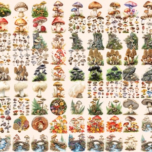 Enchanting Mushroom Watercolor Clipart
Whimsical Illustrations of Colorful Mushrooms
Forest Toadstool Images
Digital Mushroom Clipart Download
Mushroom Clip Art Set
Picturesque Graphics Depicting Vibrant Mushrooms in Nature
Mushroom Digital Art PNG