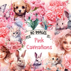Pink Carnations Watercolor Clipart: 80 PNG Floral Images (Digital Download)