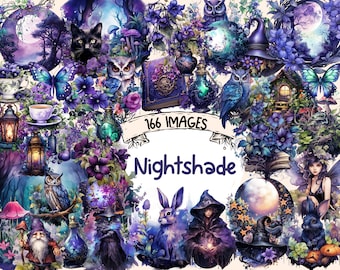 Nightshade Watercolor Clipart Bundle: Bewitching Dark Plant PNG (Digital Download)