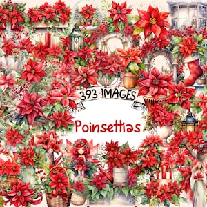 Poinsettias Watercolor Clipart Bundle - 393 PNG Beautiful Poinsettia Images, Festive Floral Graphics,Instant Digital Download,Commercial Use