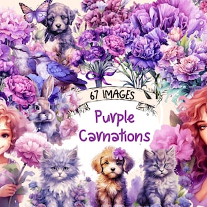 Purple Carnations Watercolor Clipart Bundle - 67 PNG Flower Images, Beautiful Floral Graphics, PNG, Instant Digital Download, Commercial Use