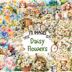 Daisy Flowers Watercolor Clipart Bundle - 711 PNG Spring Daisies Images, Beautiful Floral Graphics, Instant Digital Download, Commercial Use