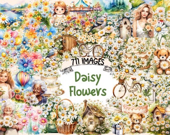 Daisy Flowers Watercolor Clipart Bundle: 711 PNG Images (Digital Download)