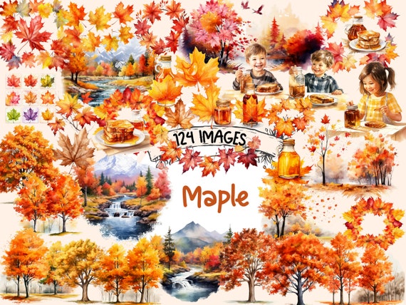Maple Watercolor Clipart Bundle: Autumn Leaves PNG Images (Digital Download)