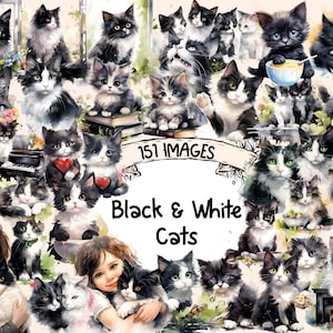 Black & White Cats Watercolor Clipart Bundle - 151 PNG Cat Images, Cute Charming Kitten Graphics, Instant Digital Download, Commercial Use