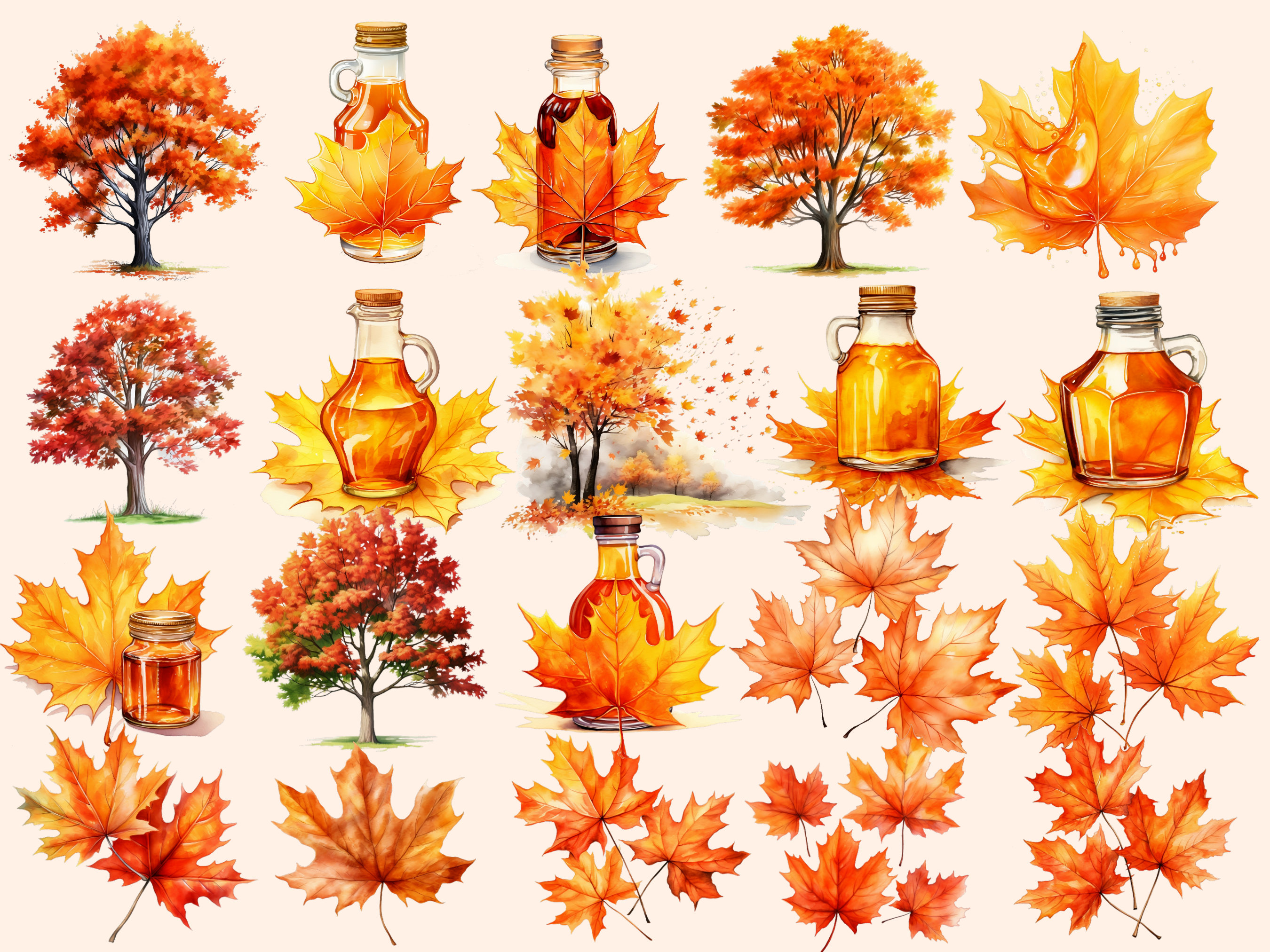 Maple Watercolor Clipart Bundle: Autumn Leaves PNG Images (digital ...