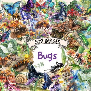 Bugs Watercolor Clipart Bundle - 509 PNG Little Bug Insect Images, Creepy Crawler Ants Graphics, Instant Digital Download, Commercial Use