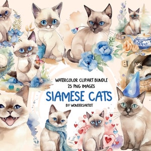 Clipart aquarelle de chats siamois - mignons chatons de conte de fées avec fleurs sauvages, ambiance florale et maison, téléchargement immédiat PNG pour usage commercial