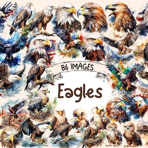 Eagles Watercolor Clipart Bundle - 86 PNG Bald Eagle Images, Forest Alpine Avian Bird Graphics, Instant Digital Download, Commercial Use