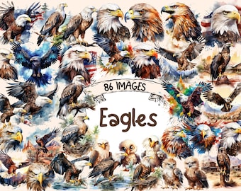 Eagle Watercolor Clipart Bundle: 86 PNG Avian Images (Digital Download)