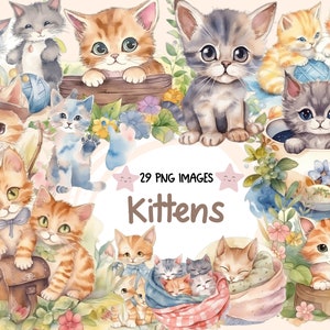 Bundle de cliparts aquarelle chatons - 29 adorables contes de fées enchantés, stickers chat mignon, PNG, téléchargement numérique instantané, usage Commercial
