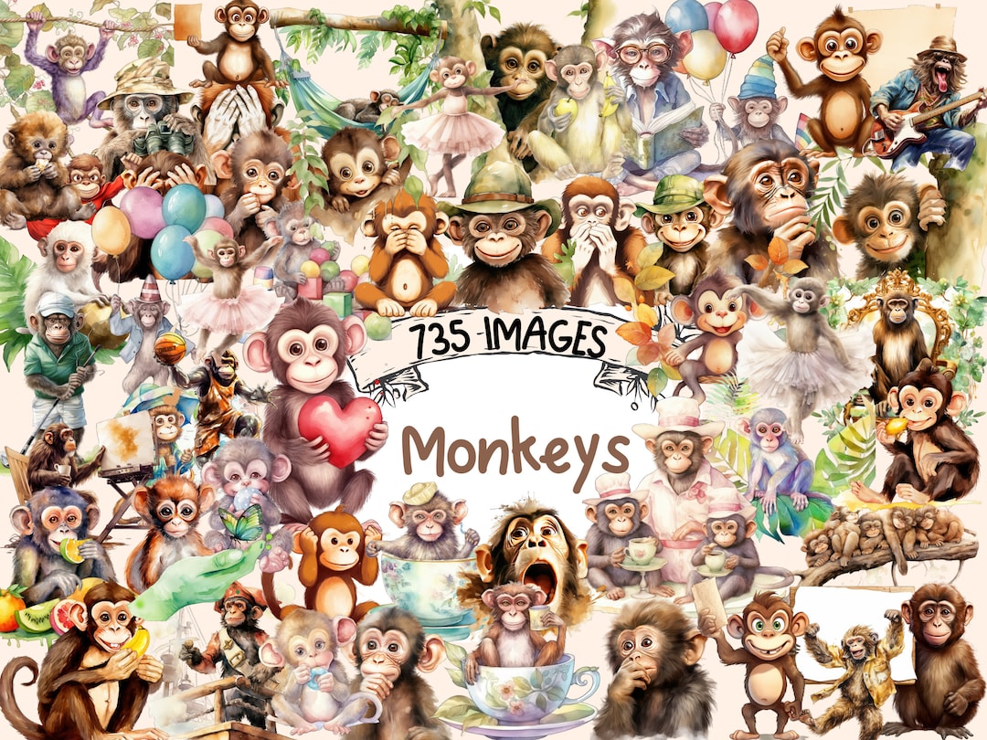 Monkeys Watercolor Clipart Bundle 735 Jungle Animals, Cute Animal ...