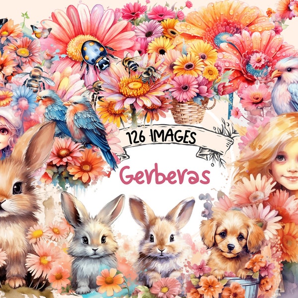Gerberas Watercolor Clipart Bundle - 126 PNG Gerbera Flower Images, Beautiful Floral Graphics, PNG, Instant Digital Download, Commercial Use