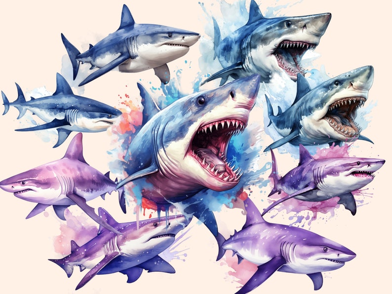 Shark Watercolor Clipart Bundle: 151 PNG Images (Commercial Use) (Digital Download) bild 9