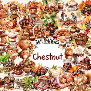 Chestnut Watercolor Clipart Bundle - 364 PNG Chestnuts Images, Delightful Autumn Nuts Graphics, Instant Digital Download, Commercial Use