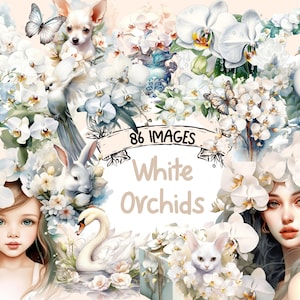 White Orchids Watercolor Clipart Bundle - 86 PNG Flower Images, Beautiful Floral Graphics, PNG, Instant Digital Download, Commercial Use