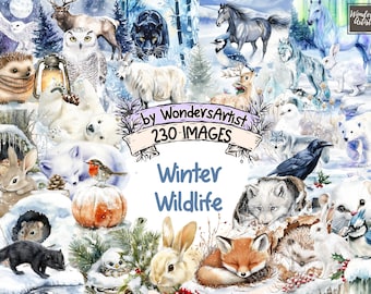 Winter Wildlife Watercolor Clipart: Snowy Animals PNG (Digital Download)
