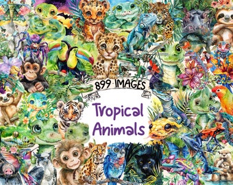 Watercolor Tropical Animals Clipart Bundle: 899 PNG Jungle Graphics (Digital Download)