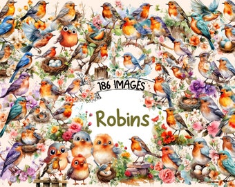 Robins Watercolor Clipart Bundle - 186 PNG Beautiful Cute Robin Images, Charming Bird Graphics, Instant Digital Download, Commercial Use