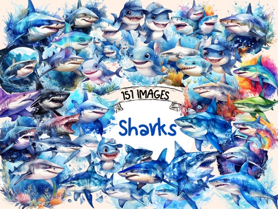 Shark Watercolor Clipart Bundle: 151 PNG Images (Commercial Use) (Digital Download)