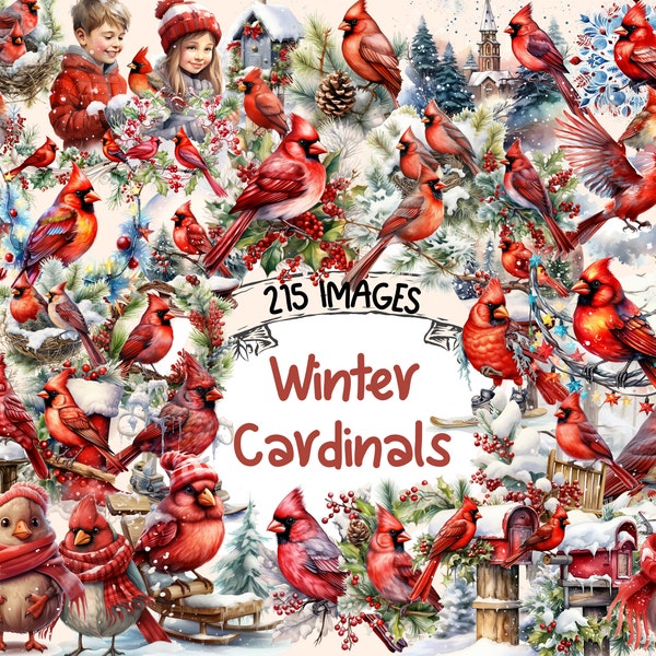 Winter Cardinals Watercolor Clipart Bundle - 215 PNG Cardinal Bird Images, Snowy Season Graphics, Instant Digital Download, Commercial Use