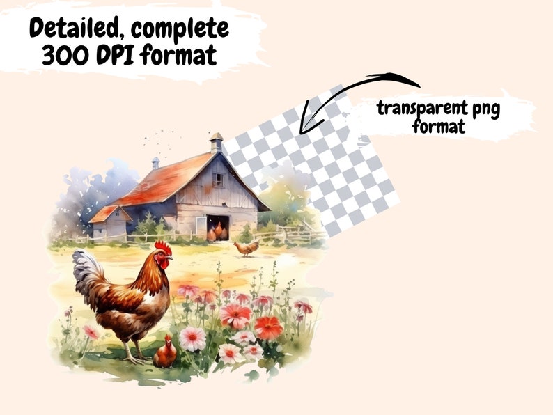 Watercolor Chicken Clipart Bundle: Farm Animal PNG Graphics (digital ...