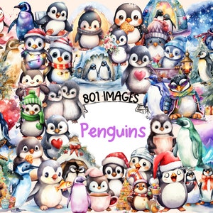 Penguins Watercolor Clipart Bundle - 801 PNG Adorable Penguin Images, Cute Antarctic Bird Graphics, Instant Digital Download, Commercial Use