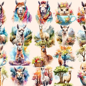 K&ouml;nnte beinhalten: Aquarell-Illustrationen von Lamas in verschiedenen Posen und Umgebungen. Einige Lamas tragen Blumen, andere sitzen in Teetassen und wieder andere sind von Naturszenen umgeben.