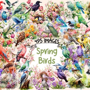 Spring Birds Watercolor Clipart Bundle - 495 PNG Springtime Bird Images, Charming Birdie Graphics, Instant Digital Download, Commercial Use