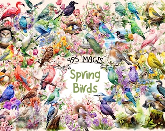 Spring Birds Watercolor Clipart Bundle - 495 PNG Springtime Bird Images, Charming Birdie Graphics, Instant Digital Download, Commercial Use