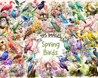 Spring Birds Watercolor Clipart: 495 PNG Images (Commercial Use)